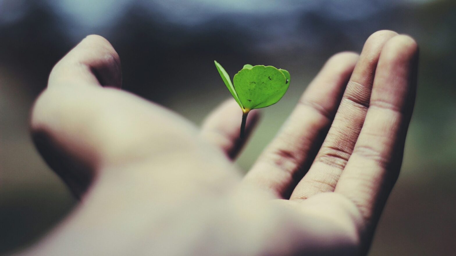 March 2025 – Month of Abundant life